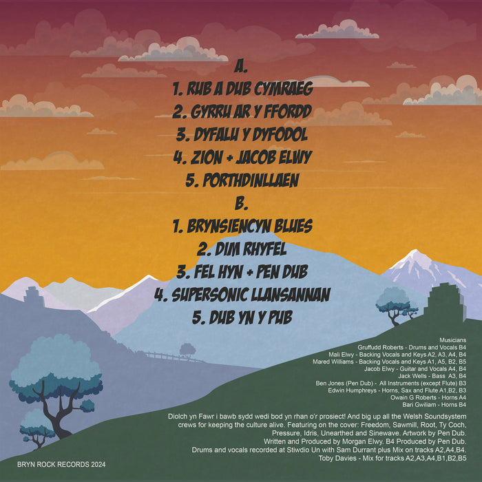 Dub yn y Pub by Morgan Elwy Coloured Vinyl / 12" Album