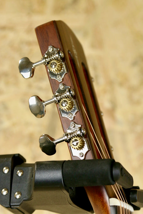 Alvarez AP66 Parlour 12 Fret in Shadowburst *Solid Top w/Bag - Pre-owned