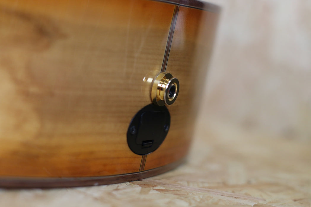 Breedlove Organic Series Concertina Burnt Amber CE w/OSHC - Pre-Owned