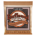 Ernie Ball Earthwood Medium Light Acoustic Guitar Strings 12-String (10-48) - Guitar Warehouse