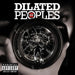 20/20 by Dilated Peoples Vinyl / 12" Album - Guitar Warehouse