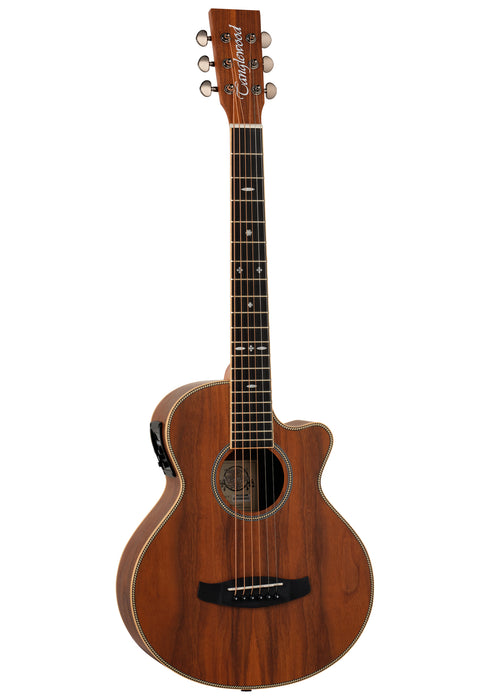 Tanglewood Reunion Pro TRU2CEAW Traveller Electro-Acoustic Guitar