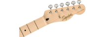 Fender Squier Paranormal Cabronita Telecaster® Thinline, Maple Fingerboard, Gold Anodized Pickguard, 2-Color Sunburst - Guitar Warehouse