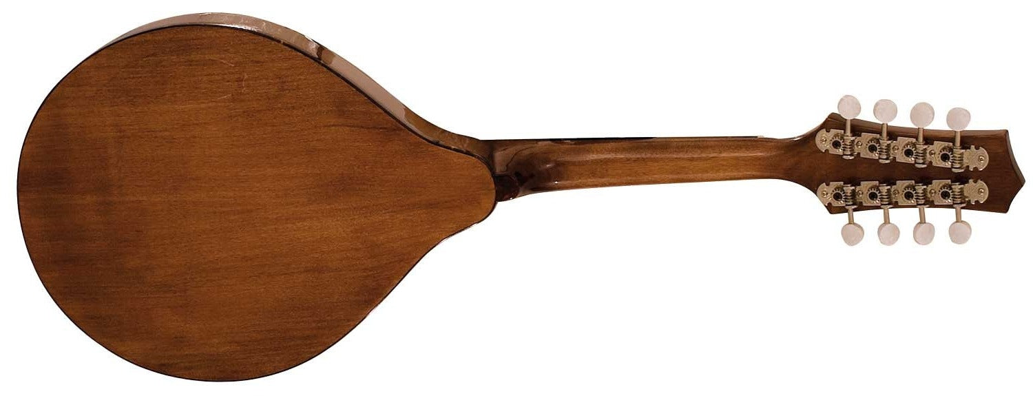Barnes & Mullins Mandolin - Wimborne Model Electro - Guitar Warehouse