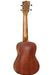 Tanglewood Concert Ukulele All Mahogany Whiskey Barrel Satin - Guitar Warehouse